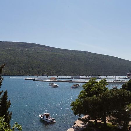 Riva Residence Ðenovići Kültér fotó