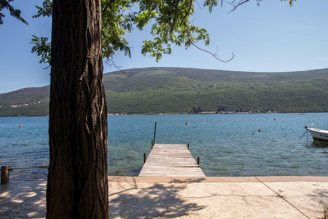 Riva Residence Ðenovići Kültér fotó